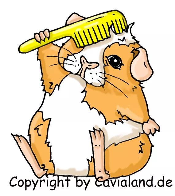 Zubehör